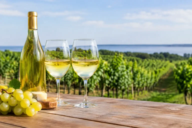 Wine Tour Itinerary Example for Long Island